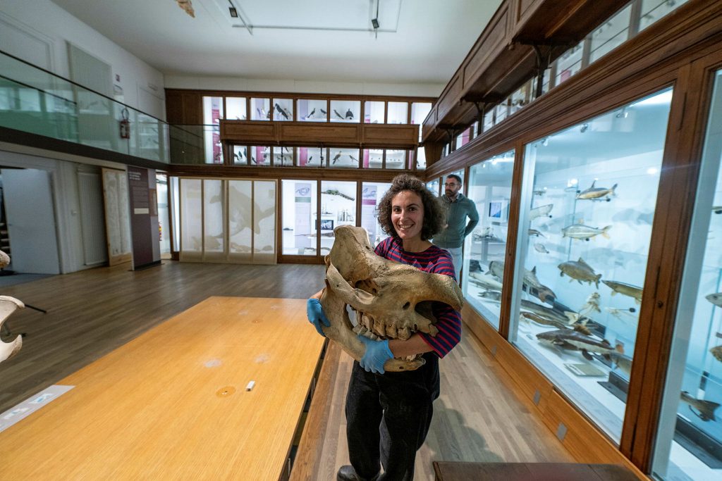 Travaux au Muséum de Nantes : comment déménage-t-on un musée ? 14 parcoursup 2026 les voeux de securit garantissent ils vraiment une place dans le superieur 2