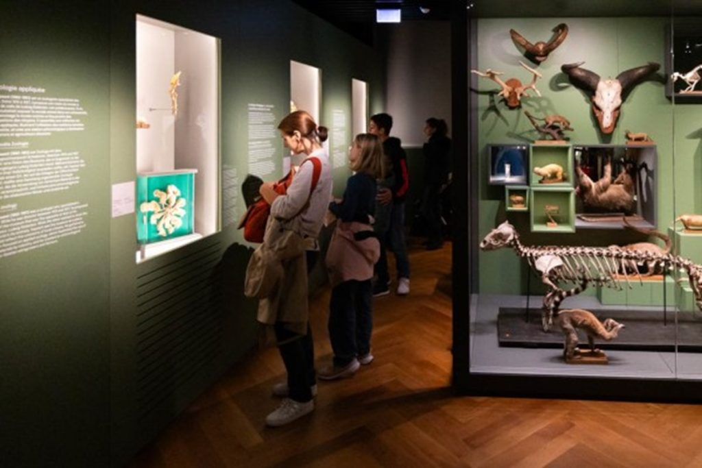 Près de 700 000 visiteurs et visiteuses accueillis dans les Musées de la Ville de Strasbourg en 2025 2 pres de 700 000 visiteurs et visiteuses accueillis dans les musees de la ville de strasbourg en 2025 p2